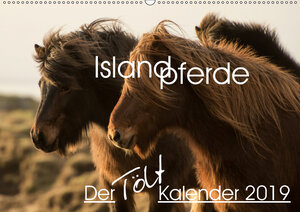 Buchcover Islandpferde - Der Tölt Kalender (Wandkalender 2019 DIN A2 quer) | Irma van der Wiel - www.kalender-atelier.de | EAN 9783670068747 | ISBN 3-670-06874-0 | ISBN 978-3-670-06874-7