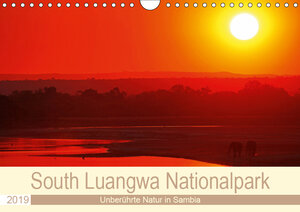 Buchcover South Luangwa Nationalpark (Wandkalender 2019 DIN A4 quer) | Wibke Woyke | EAN 9783670124092 | ISBN 3-670-12409-8 | ISBN 978-3-670-12409-2