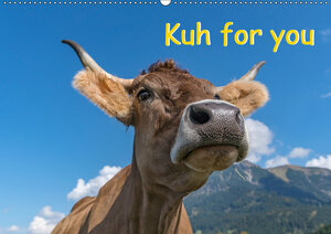 Buchcover Kuh for you (Wandkalender 2019 DIN A2 quer) | Miriam Kaina | EAN 9783670157281 | ISBN 3-670-15728-X | ISBN 978-3-670-15728-1