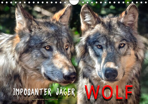 Buchcover Wolf - Imposanter Jäger (Wandkalender 2019 DIN A4 quer) | Peter Roder | EAN 9783670159544 | ISBN 3-670-15954-1 | ISBN 978-3-670-15954-4
