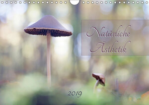 Buchcover Natürliche Ästhetik (Wandkalender 2019 DIN A4 quer) | Flori0 | EAN 9783670167914 | ISBN 3-670-16791-9 | ISBN 978-3-670-16791-4
