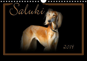 Buchcover Saluki 2019 (Wandkalender 2019 DIN A4 quer) | Andrea Redecker | EAN 9783670168393 | ISBN 3-670-16839-7 | ISBN 978-3-670-16839-3