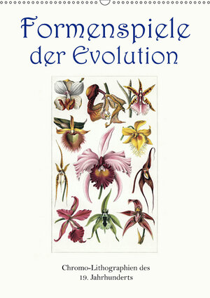 Buchcover Formenspiele der Evolution. Chromolithographien des 19. Jahrhunderts (Wandkalender 2019 DIN A2 hoch) | Jost Galle | EAN 9783670169949 | ISBN 3-670-16994-6 | ISBN 978-3-670-16994-9