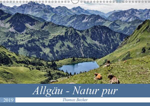 Buchcover Allgäu - Natur pur (Wandkalender 2019 DIN A3 quer) | Thomas Becker | EAN 9783670170846 | ISBN 3-670-17084-7 | ISBN 978-3-670-17084-6