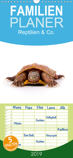 Buchcover Reptilien & Co. - Familienplaner hoch (Wandkalender 2019 , 21 cm x 45 cm, hoch) | Hans-Peter Möhlig | EAN 9783670199366 | ISBN 3-670-19936-5 | ISBN 978-3-670-19936-6