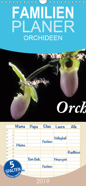 Buchcover Orchideen 2019 - Familienplaner hoch (Wandkalender 2019 , 21 cm x 45 cm, hoch) | kleber©gagelart | EAN 9783670199731 | ISBN 3-670-19973-X | ISBN 978-3-670-19973-1