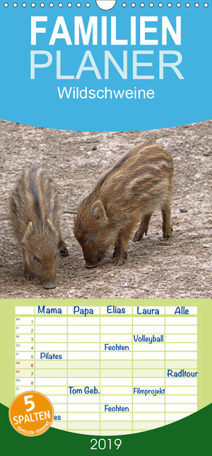 Buchcover Wildschweine - Familienplaner hoch (Wandkalender 2019 , 21 cm x 45 cm, hoch) | Martina Berg | EAN 9783670200116 | ISBN 3-670-20011-8 | ISBN 978-3-670-20011-6