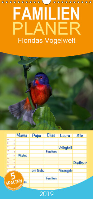 Buchcover Floridas Vogelwelt - Familienplaner hoch (Wandkalender 2019 , 21 cm x 45 cm, hoch) | Ralf Weise / natureinimages.com | EAN 9783670239628 | ISBN 3-670-23962-6 | ISBN 978-3-670-23962-8