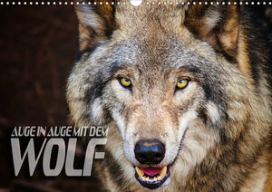 Buchcover Auge in Auge mit dem Wolf (Wandkalender 2019 DIN A3 quer) | Renate Bleicher | EAN 9783670314905 | ISBN 3-670-31490-3 | ISBN 978-3-670-31490-5