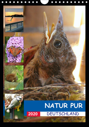 Buchcover Natur pur - Deutschland (Wandkalender 2020 DIN A4 hoch) | Stefan Krüger | EAN 9783670337447 | ISBN 3-670-33744-X | ISBN 978-3-670-33744-7
