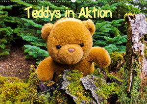 Buchcover Teddys in AktionCH-Version (Wandkalender 2020 DIN A2 quer) | Karin Sigwarth | EAN 9783670426066 | ISBN 3-670-42606-X | ISBN 978-3-670-42606-6