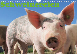 Buchcover Schweinereien (Wandkalender 2020 DIN A4 quer) | Jan Wolf | EAN 9783670491019 | ISBN 3-670-49101-5 | ISBN 978-3-670-49101-9