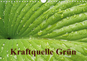 Buchcover Kraftquelle Grün (Wandkalender 2020 DIN A4 quer) | Ilona Andersen | EAN 9783670529194 | ISBN 3-670-52919-5 | ISBN 978-3-670-52919-4