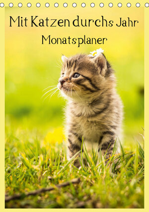 Buchcover Mit Katzen durchs Jahr / Planer (Tischkalender 2020 DIN A5 hoch) | Yvonne Obermüller Fotografie | EAN 9783670529668 | ISBN 3-670-52966-7 | ISBN 978-3-670-52966-8