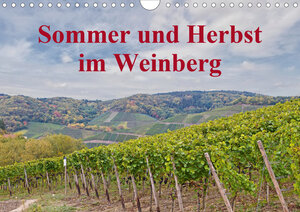 Buchcover Sommer und Herbst im Weinberg (Wandkalender 2020 DIN A4 quer) | Thomas Leonhardy | EAN 9783670529835 | ISBN 3-670-52983-7 | ISBN 978-3-670-52983-5