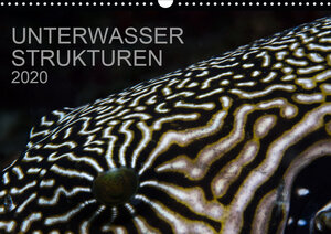 Buchcover Unterwasser Strukuren (Wandkalender 2020 DIN A3 quer) | Karsten Schulze | EAN 9783670549604 | ISBN 3-670-54960-9 | ISBN 978-3-670-54960-4