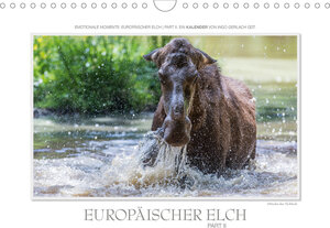 Buchcover Emotionale Momente: Europäischer Elch Part II (Wandkalender 2020 DIN A4 quer) | Ingo Gerlach GDT | EAN 9783670569947 | ISBN 3-670-56994-4 | ISBN 978-3-670-56994-7
