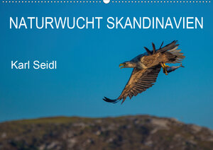 Buchcover Naturwucht Skandinavien (Wandkalender 2020 DIN A2 quer) | Karl Seidl | EAN 9783670573616 | ISBN 3-670-57361-5 | ISBN 978-3-670-57361-6