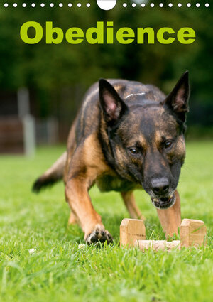 Buchcover Obedience (Wandkalender 2020 DIN A4 hoch) | Helma Spona / HSV Crazy-Dogs Niederrhein e.V. | EAN 9783670758709 | ISBN 3-670-75870-4 | ISBN 978-3-670-75870-9