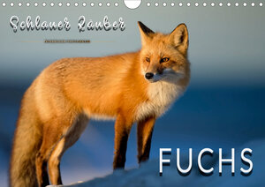 Buchcover Fuchs - schlauer Räuber (Wandkalender 2020 DIN A4 quer) | Peter Roder | EAN 9783671032068 | ISBN 3-671-03206-5 | ISBN 978-3-671-03206-8