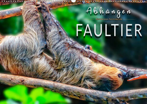 Buchcover Abhängen - Faultier (Wandkalender 2020 DIN A2 quer) | Peter Roder | EAN 9783671034659 | ISBN 3-671-03465-3 | ISBN 978-3-671-03465-9