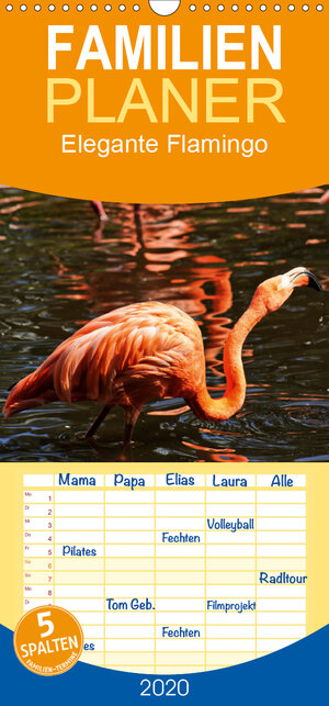 Buchcover Elegante Flamingo - Familienplaner hoch (Wandkalender 2020 , 21 cm x 45 cm, hoch) | Kattobello | EAN 9783671059355 | ISBN 3-671-05935-4 | ISBN 978-3-671-05935-5