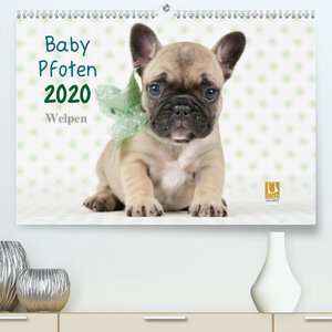Buchcover Baby Pfoten (Premium, hochwertiger DIN A2 Wandkalender 2020, Kunstdruck in Hochglanz) | Natalie Eckelt | EAN 9783671227082 | ISBN 3-671-22708-7 | ISBN 978-3-671-22708-2