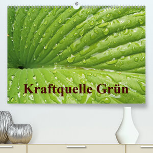 Buchcover Kraftquelle Grün (Premium, hochwertiger DIN A2 Wandkalender 2020, Kunstdruck in Hochglanz) | Ilona Andersen | EAN 9783671261611 | ISBN 3-671-26161-7 | ISBN 978-3-671-26161-1