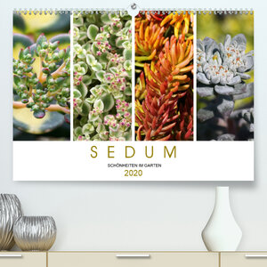 Buchcover Sedum Schönheiten im Garten (Premium, hochwertiger DIN A2 Wandkalender 2020, Kunstdruck in Hochglanz) | Martina Cross | EAN 9783671292608 | ISBN 3-671-29260-1 | ISBN 978-3-671-29260-8