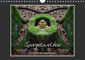 Buchcover Spiegelwelten - Im Reich der Naturwesen (Wandkalender 2021 DIN A4 quer) | Katharina Hubner | EAN 9783671486786 | ISBN 3-671-48678-3 | ISBN 978-3-671-48678-6