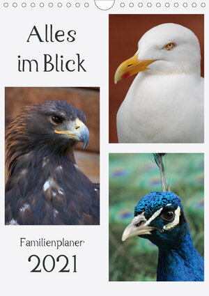 Buchcover Alles im Blick (Wandkalender 2021 DIN A4 hoch) | Claudia Lampert | EAN 9783671551828 | ISBN 3-671-55182-8 | ISBN 978-3-671-55182-8