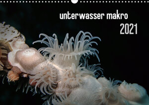 Buchcover unterwasser makro 2021 (Wandkalender 2021 DIN A3 quer) | Claudia Weber-Gebert | EAN 9783671785179 | ISBN 3-671-78517-9 | ISBN 978-3-671-78517-9