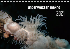 Buchcover unterwasser makro 2021 (Tischkalender 2021 DIN A5 quer) | Claudia Weber-Gebert | EAN 9783671785193 | ISBN 3-671-78519-5 | ISBN 978-3-671-78519-3
