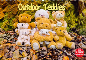 Buchcover Outdoor Teddies (Wandkalender 2021 DIN A2 quer) | Karin Sigwarth | EAN 9783671841851 | ISBN 3-671-84185-0 | ISBN 978-3-671-84185-1