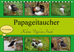 Buchcover Papageitaucher Kleine Vögel im Frack CH Version (Tischkalender 2021 DIN A5 quer) | Babett Paul - Babett's Bildergalerie | EAN 9783672463182 | ISBN 3-672-46318-3 | ISBN 978-3-672-46318-2