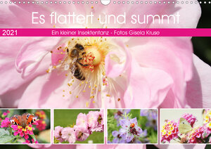 Buchcover Es flattert und summt Ein kleiner Insektentanz (Wandkalender 2021 DIN A3 quer) | Gisela Kruse | EAN 9783672469092 | ISBN 3-672-46909-2 | ISBN 978-3-672-46909-2