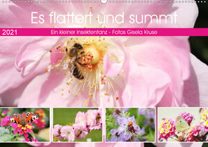 Buchcover Es flattert und summt Ein kleiner Insektentanz (Wandkalender 2021 DIN A2 quer) | Gisela Kruse | EAN 9783672469108 | ISBN 3-672-46910-6 | ISBN 978-3-672-46910-8