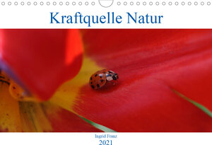 Buchcover Kraftquelle Natur (Wandkalender 2021 DIN A4 quer) | Ingrid Franz | EAN 9783672499297 | ISBN 3-672-49929-3 | ISBN 978-3-672-49929-7