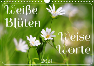 Buchcover Weiße Blüten, weise Worte (Wandkalender 2021 DIN A4 quer) | Sabine Löwer | EAN 9783672648664 | ISBN 3-672-64866-3 | ISBN 978-3-672-64866-4