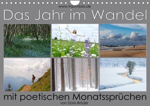 Buchcover Das Jahr im Wandel - mit poetischen Monatssprüchen (Wandkalender 2022 DIN A4 quer) | Max Watzinger | EAN 9783672827458 | ISBN 3-672-82745-2 | ISBN 978-3-672-82745-8