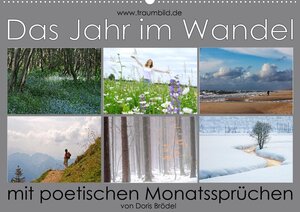 Buchcover Das Jahr im Wandel - mit poetischen Monatssprüchen (Wandkalender 2022 DIN A2 quer) | Max Watzinger | EAN 9783672827472 | ISBN 3-672-82747-9 | ISBN 978-3-672-82747-2