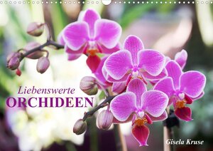 Buchcover Liebenswerte Orchideen (Wandkalender 2022 DIN A3 quer) | Gisela Kruse | EAN 9783672828608 | ISBN 3-672-82860-2 | ISBN 978-3-672-82860-8