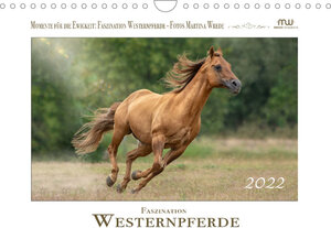 Buchcover Faszination Westernpferde (Wandkalender 2022 DIN A4 quer) | Martina Wrede - Wredefotografie | EAN 9783672829278 | ISBN 3-672-82927-7 | ISBN 978-3-672-82927-8
