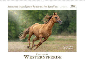 Buchcover Faszination Westernpferde (Wandkalender 2022 DIN A2 quer) | Martina Wrede - Wredefotografie | EAN 9783672829292 | ISBN 3-672-82929-3 | ISBN 978-3-672-82929-2