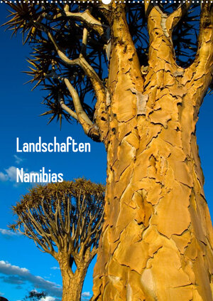 Buchcover Landschaften Namibias (Wandkalender 2022 DIN A2 hoch) | Frauke Scholz | EAN 9783672927981 | ISBN 3-672-92798-8 | ISBN 978-3-672-92798-1