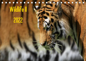 Buchcover Wildlife II / 2022 (Tischkalender 2022 DIN A5 quer) | Jens Klingebiel | EAN 9783672939939 | ISBN 3-672-93993-5 | ISBN 978-3-672-93993-9