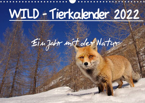 Buchcover WILD - Tierkalender 2022 (Wandkalender 2022 DIN A3 quer) | Marco Colombo | EAN 9783672972967 | ISBN 3-672-97296-7 | ISBN 978-3-672-97296-7