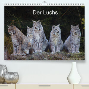 Buchcover Der Luchs (Premium, hochwertiger DIN A2 Wandkalender 2022, Kunstdruck in Hochglanz) | Alexander von Düren | EAN 9783673055331 | ISBN 3-673-05533-X | ISBN 978-3-673-05533-1