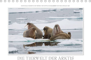 Buchcover Emotionale Momente: Die Tierwelt der Arktis / CH-Version (Tischkalender 2022 DIN A5 quer) | Ingo Gerlach GDT | EAN 9783673056284 | ISBN 3-673-05628-X | ISBN 978-3-673-05628-4
