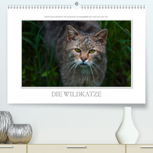 Buchcover Emotionale Momente: Die Wildkatze. / CH-Version (Premium, hochwertiger DIN A2 Wandkalender 2022, Kunstdruck in Hochglanz) | Ingo Gerlach GDT | EAN 9783673056345 | ISBN 3-673-05634-4 | ISBN 978-3-673-05634-5